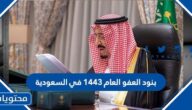 بنود العفو العام ١٤٤٣ في السعودية