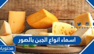 اسماء انواع الجبن بالصور