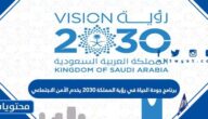 برنامج جودة الحياة في رؤية المملكة 2030 يخدم الأمن الاجتماعي