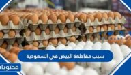سبب مقاطعة البيض في السعودية