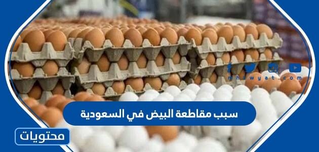 سبب مقاطعة البيض في السعودية