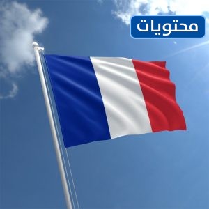 علم دولة فرنسا 