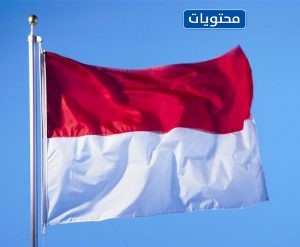 صورة علم دولة موناكو: