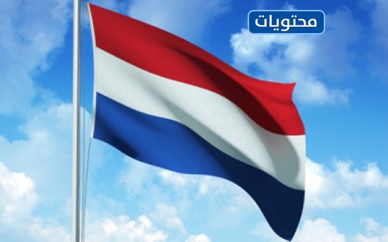 علم دولة هولندا