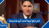 كم تبلغ ثروة أحمد أبو هشيمة