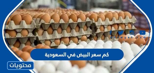 كم سعر البيض في السعودية