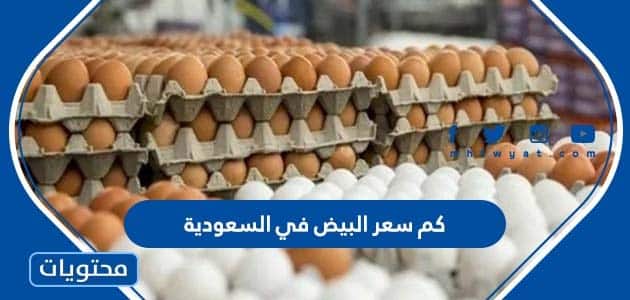 كم سعر البيض في السعودية