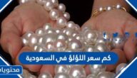 كم سعر اللؤلؤ في السعودية