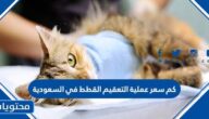 كم سعر عملية التعقيم القطط في السعودية