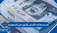 كم نسبة الحد الأدنى للأجور في السعودية