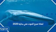 لماذا صرخ الحوت في بداية 2020