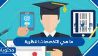 ما هي التخصصات النظرية