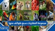 مجموعة الفقاريات سبع طوائف منها