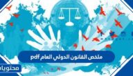 ملخص القانون الدولي العام pdf