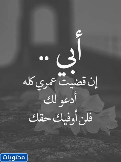 ستوريات عن يوم الاب العالمي 2022 جديدة