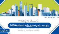 بلغ عدد برامج تحقيق رؤية المملكة 2030