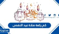 كم ركعة صلاة عيد الاضحى