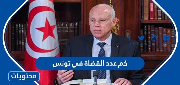 كم عدد القضاة في تونس