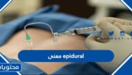 ما هو معنى epidural