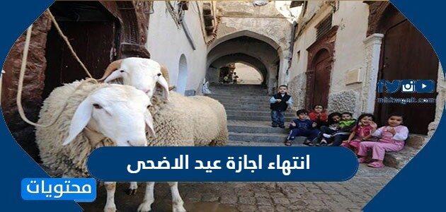 موعد انتهاء اجازة عيد الاضحى 2025 في السعودية