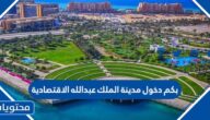 بكم دخول مدينة الملك عبدالله الاقتصادية