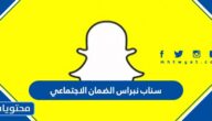 سناب نبراس الضمان الاجتماعي