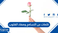 كلمات عن التسامح وصفاء القلوب