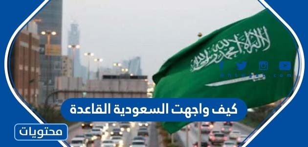 كيف واجهت السعودية القاعدة