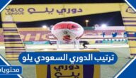 ترتيب الدوري السعودي يلو 2025