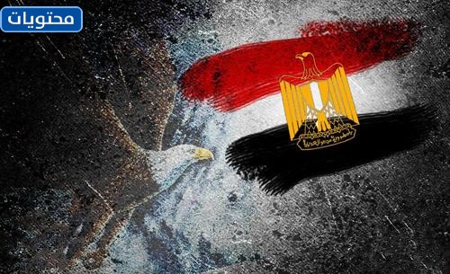 صور عن اليوم الوطني المصري 2022 جديدة
