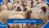 وقت ذبح الاضحية في الليل