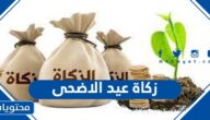 هل يوجد زكاة عيد الاضحى في الاسلام