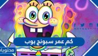 كم عمر سبونج بوب