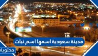 مدينة سعودية اسمها اسم نبات