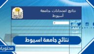رابط نتائج جامعة اسيوط بالاسم ورقم الجلوس 2025