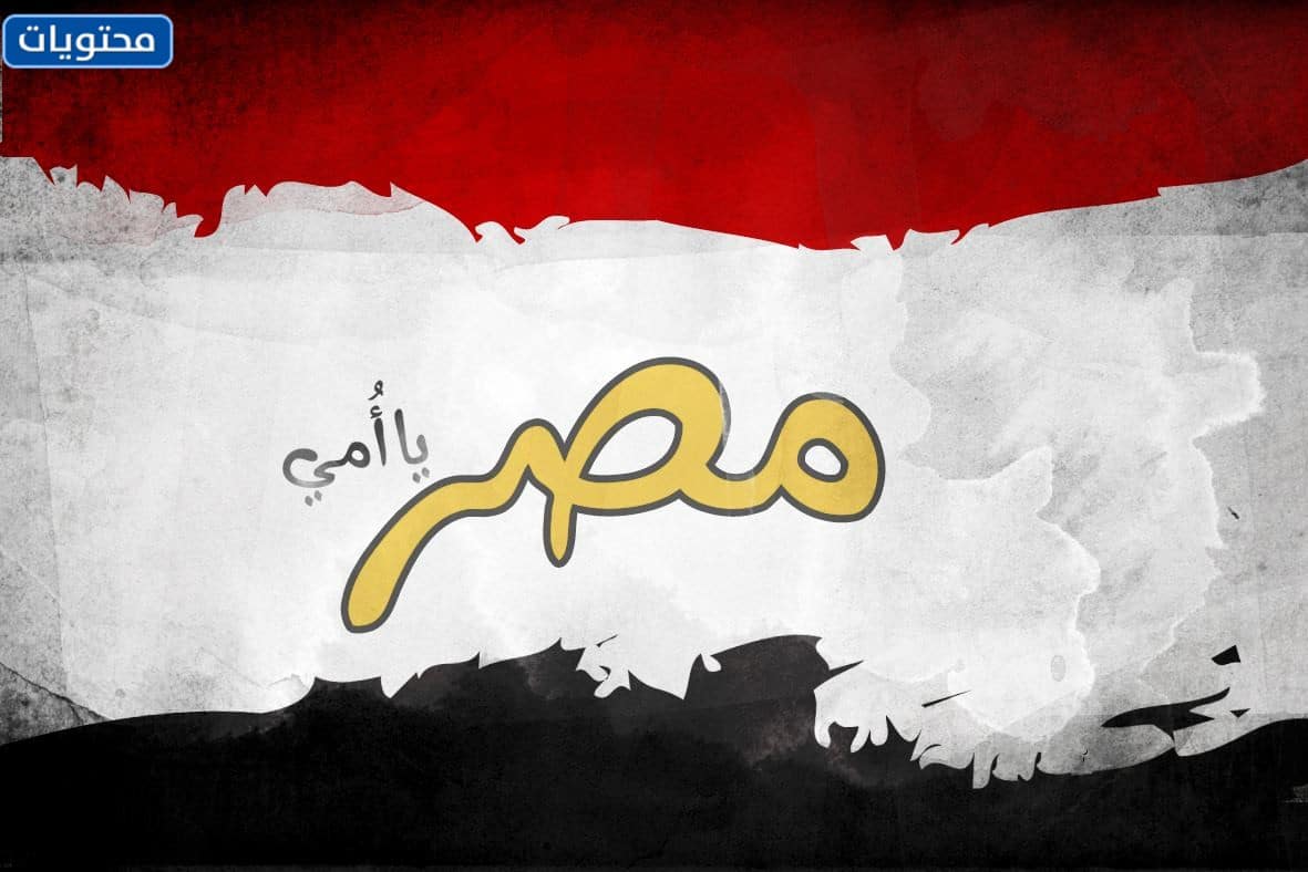 تفاصيل عن اليوم الوطني المصري لعام 2022