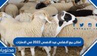 اماكن بيع الاضاحي عيد الاضحى 2022 في الامارات