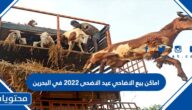 اماكن بيع الاضاحي عيد الاضحى 2022 في البحرين