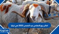 اماكن بيع الاضاحي عيد الاضحى 2022 في تركيا