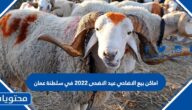 اماكن بيع الاضاحي عيد الاضحى 2022 في سلطنة عمان