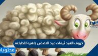خروف العيد ثيمات عيد الاضحى جاهزه للطباعه 2025