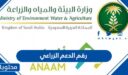 رقم الدعم الزراعي لمربي المواشي 1448