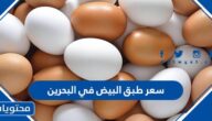سعر طبق البيض في البحرين