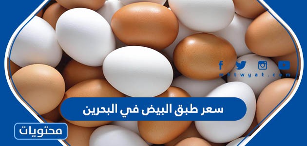 سعر طبق البيض في البحرين