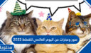 صور وعبارات عن اليوم العالمي للقطط 2025