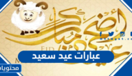 عبارات عيد سعيد بمناسبة عيد الاضحى المبارك 2025/1446