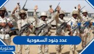 كم عدد جنود السعودية 2025