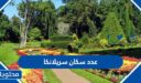 كم عدد سكان سريلانكا 2025