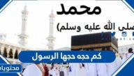 كم حجه حجها الرسول