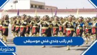 كم راتب جندي فني موسيقى في امن المنشات السعودية 1447